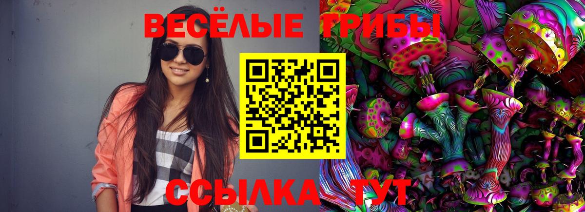 Псилоцибиновые грибы GOLDEN TEACHER Саяногорск